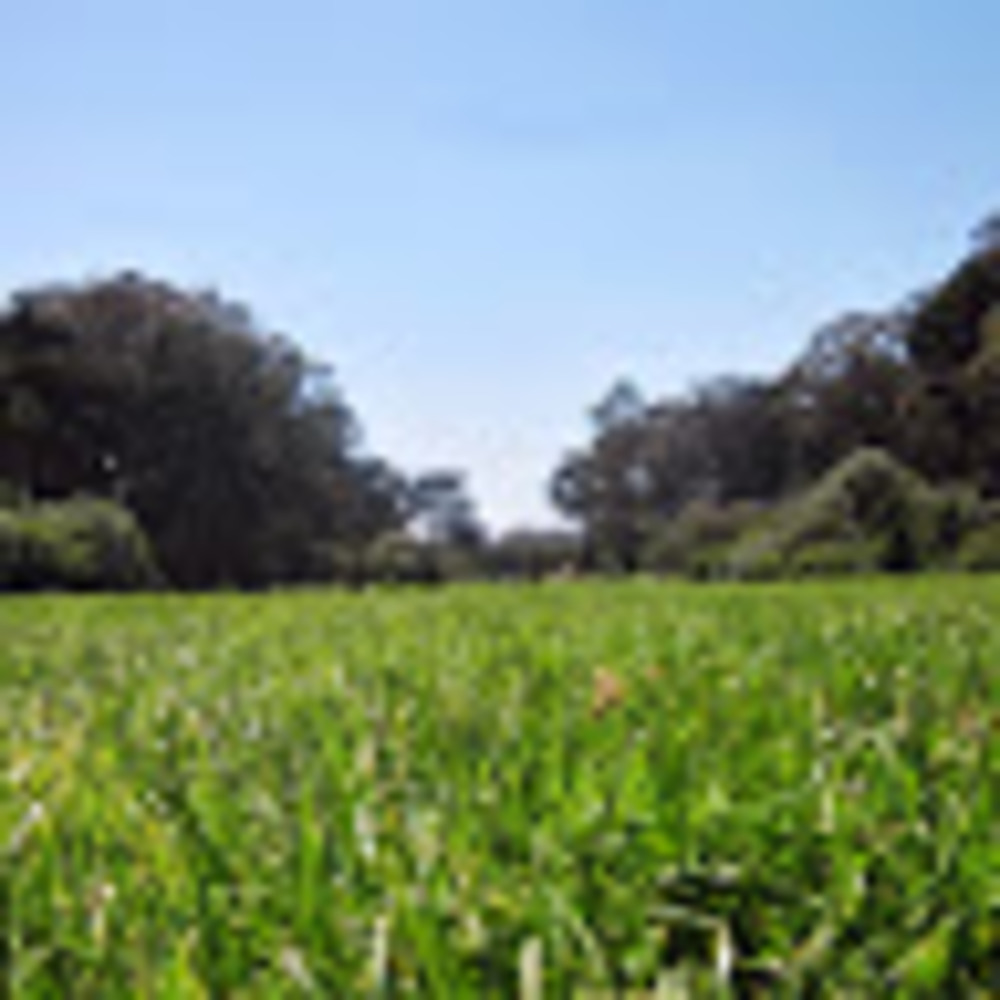 Meet your Posher, Liliana